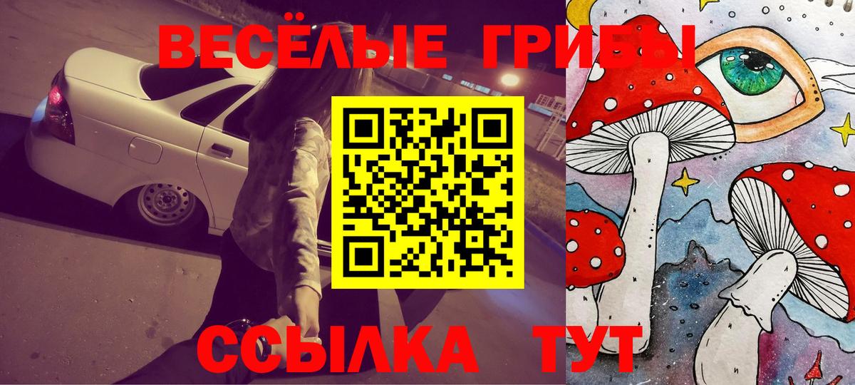 Псилоцибиновые грибы MAGIC MUSHROOMS Ейск